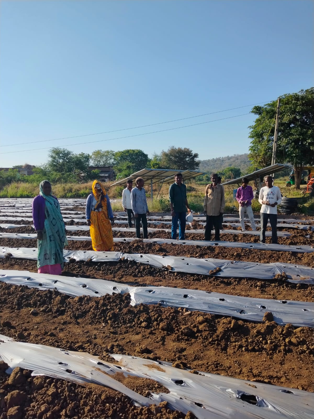 Agriculture consultant discussing farm planning with farmers