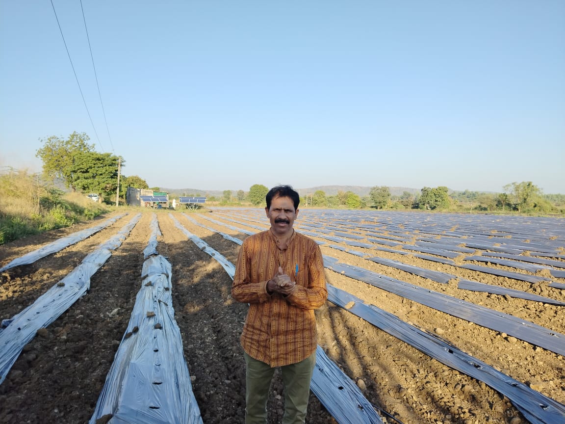 Soil testing and assessment for agriculture consultancy