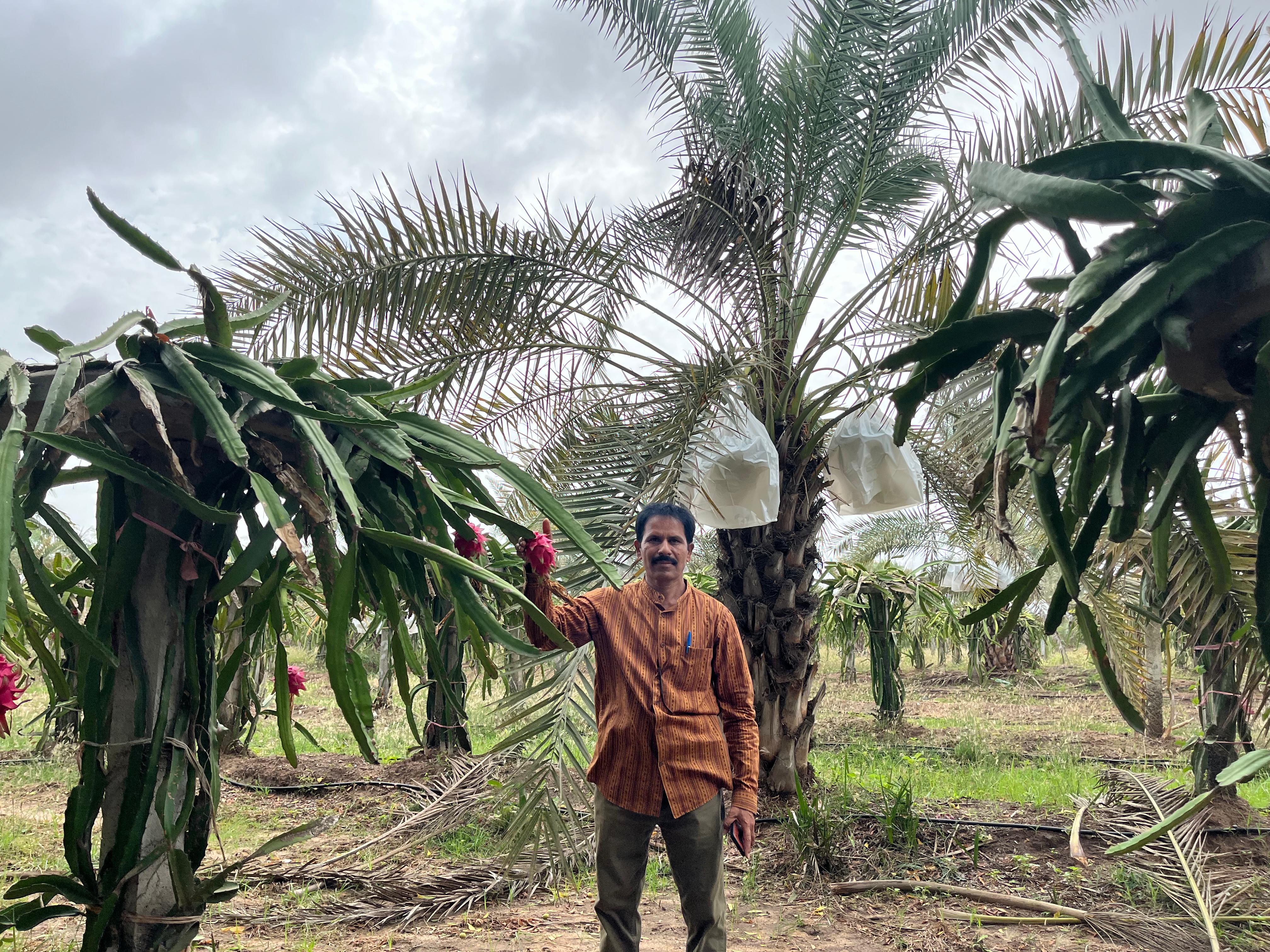 Farmers and experts planning contract farming on agricultural land