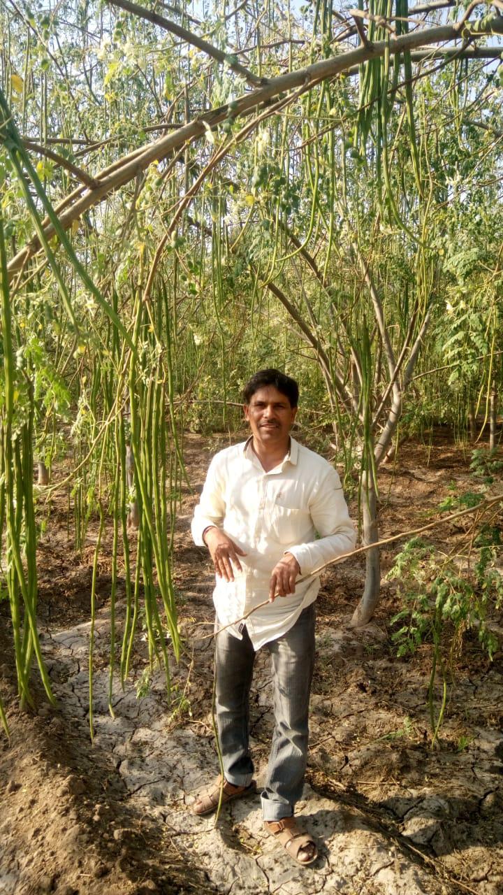 Harvested produce being prepared for supply under contract agreement