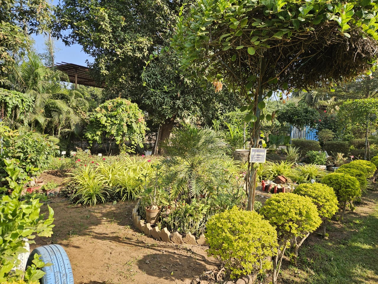 Lush landscaped garden with trees and shrubs